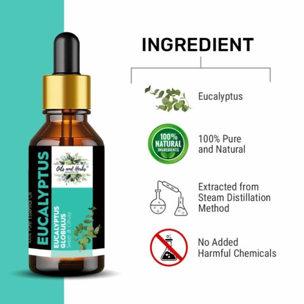 natural eucalyptus essential oil – 100% pure & therapeutic grade