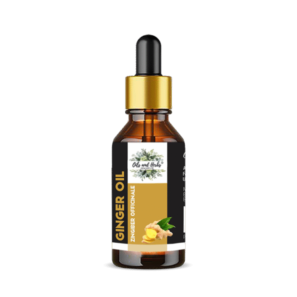 ginger essential oil – 100% pure & natural