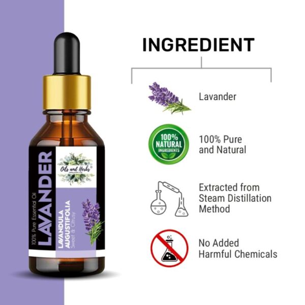 natural lavender essential oil – 100% pure & therapeutic grade